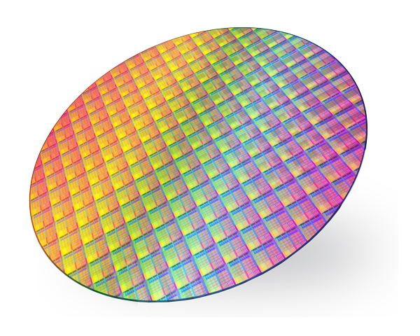 Wafer mit Mikroelektronik Modulen
